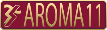icon AROMA11 